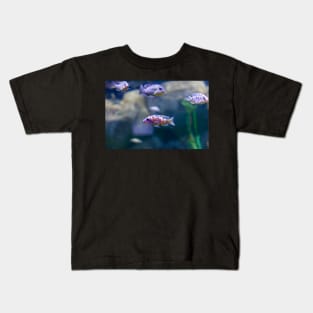 Aulonocara species ‘OB Peacock’ cichlids Kids T-Shirt